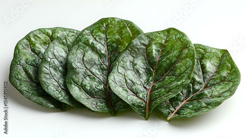 Fresh green chard leaves arranged in overlapping row showing texture and veins on white background, organic healthy vegetable isolated for culinary design.