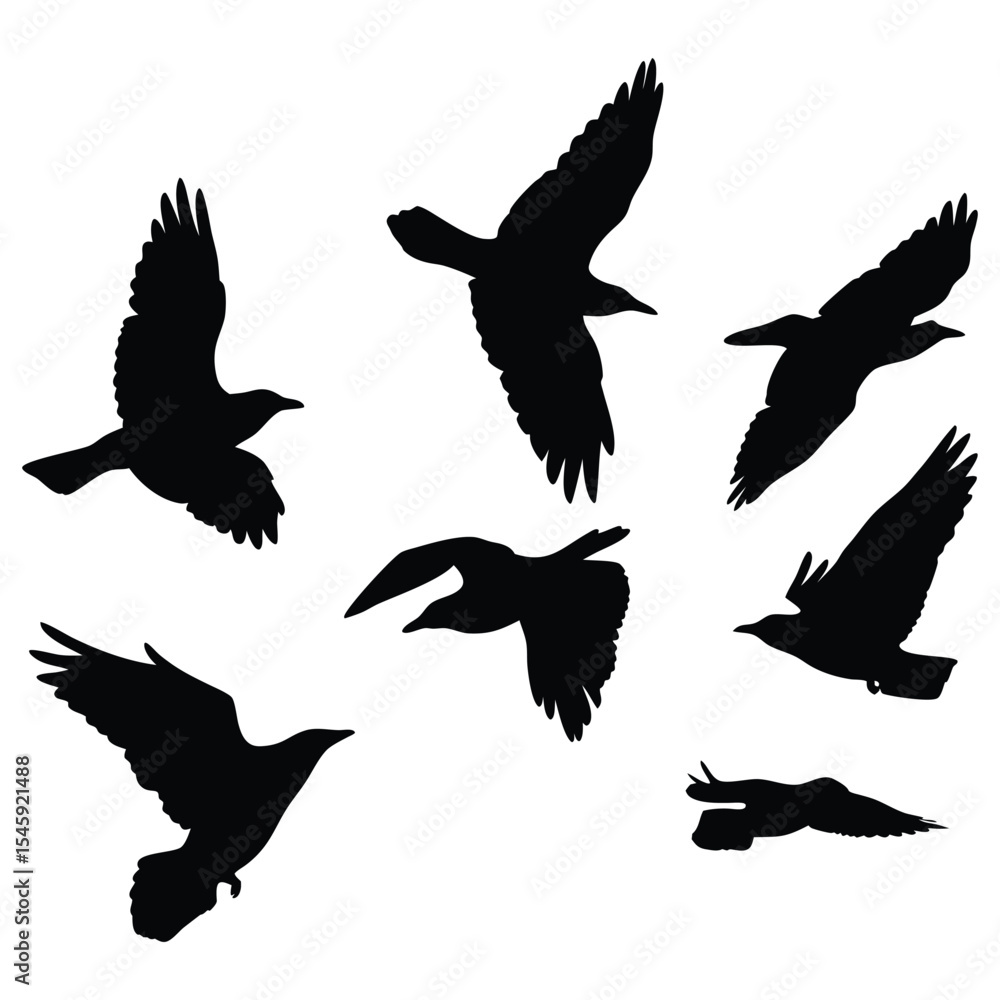 Obraz premium Abstract Black White Silhouette Illustration Graphic Art