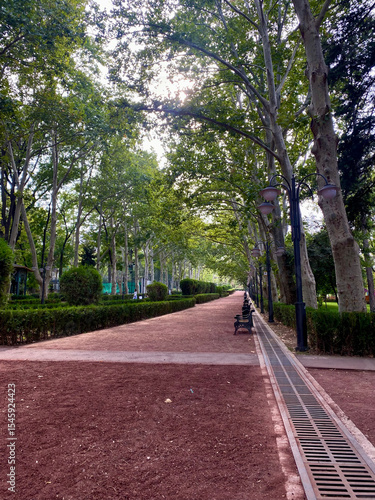 Wallpaper Mural Shaded tree-lined promenade in a peaceful city park with benches and vintage street lamps on a calm summer day Torontodigital.ca