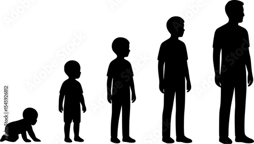 Silhouette illustration of human growth stages.