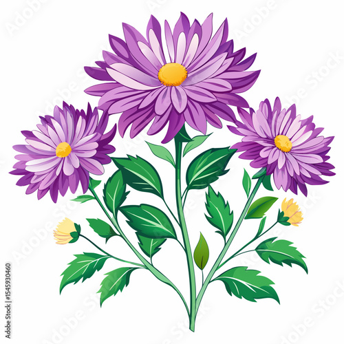 bouquet of asters