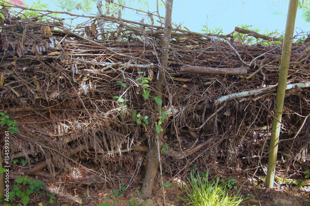 Obraz premium Benjes hedge made from loosely piled branches and twigs provide shelter and food for birds and insects (Baden, Germany)