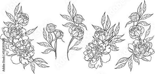 Wallpaper Mural Collection of outline vector arrangement of hand drawn peonies. Clip art of flowers. Monochrome set. Torontodigital.ca