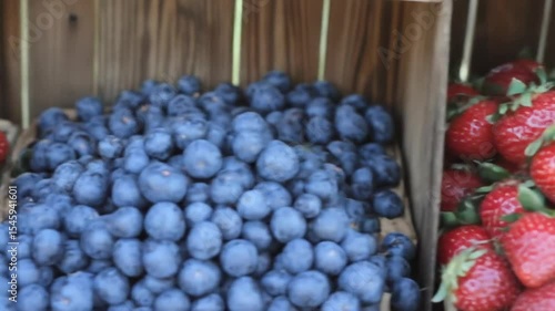 Wallpaper Mural White Plastic Containers Filled with Fresh Red Strawberries and Blueberries at a Farmers Market Organic Berry Selection Display Torontodigital.ca