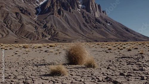 Desertscape: Tumbleweed Amidst Rocky Terrain, an evocative shot of a harsh desert landscape, featuring a tumbleweed resting on cracked earth with a majestic mountain as the backdrop.