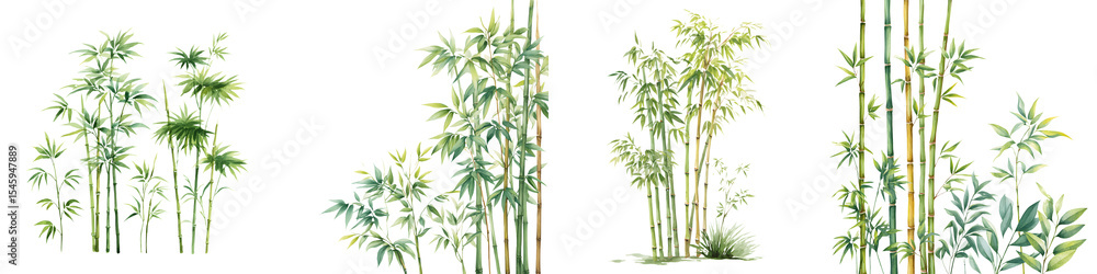 Lush green bamboo plants in a natural setting Lush green bamboo plants in a natural setting