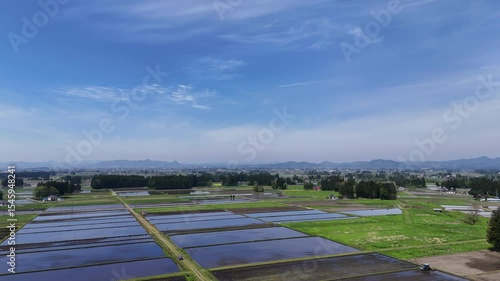 空撮　5月の田園風景　日本