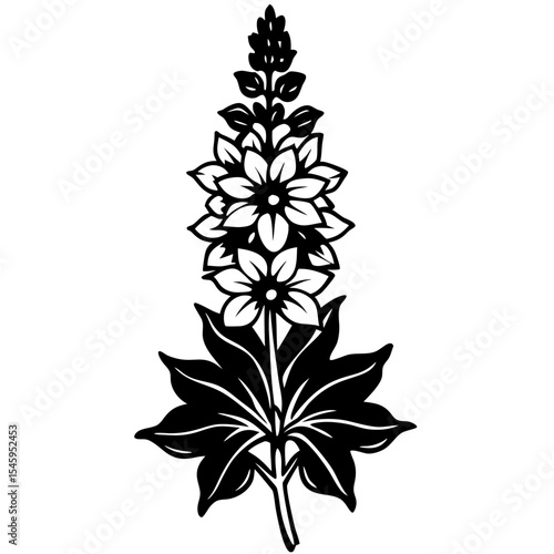 Black and white illustration of a single delphinium flower
