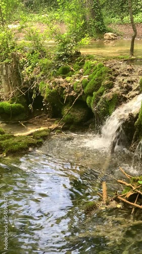 A stream of water flows through a forest. The water is clear and the moss is growing on the rocks