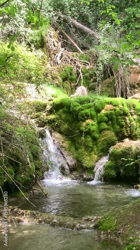 A stream of water flows through a forest. The water is clear and the moss is growing on the rocks