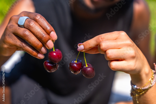 Wall Mural Farmers holding freshly picked cherries in orchard
