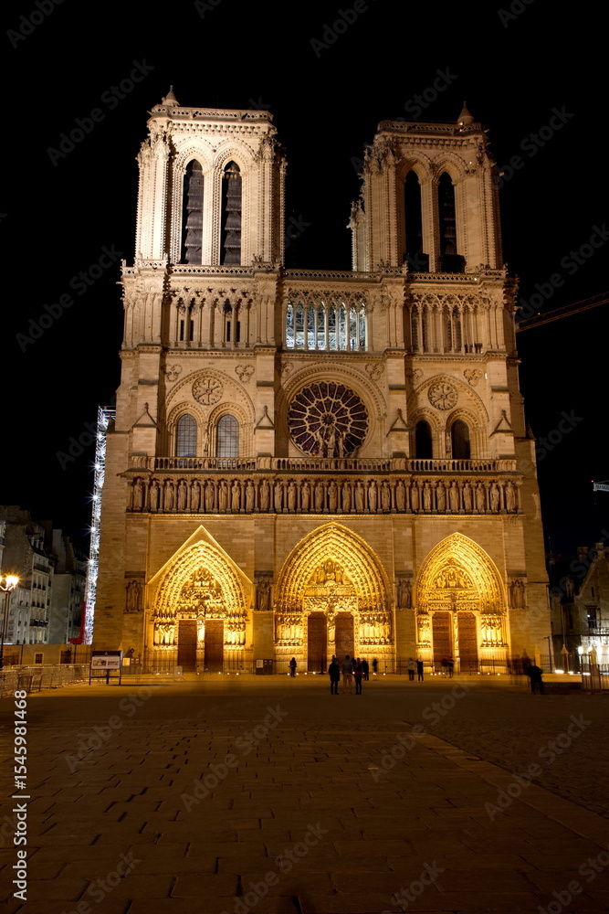 Fototapeta premium Notre-Dame de Paris