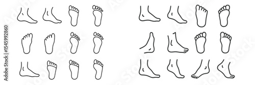 Line drawing vector icons showing feet from multiple angles and positions, suitable for anatomy, medical studies, footwear design, and reference guides.