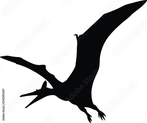 Soaring Pteranodon Silhouette: A Dynamic Outline of the Ancient Flying Reptile with Wings Fully Extended, Perfect for Illustrating Prehistoric Skies or Avian Studies on a Crisp White Background.