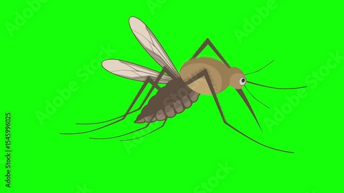Animation featuring a brown mosquito isolated and flying over a green screen background.