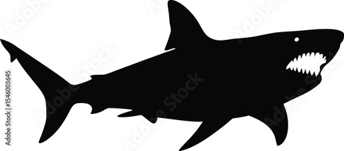 Giant Megalodon Silhouette: A Terrifying Outline of the Prehistoric Shark, Capturing its Immense Size and Apex Marine Predation on a Crisp White Background.
