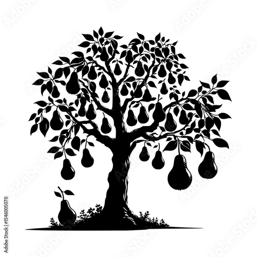 Black and white silhouette of a pear tree