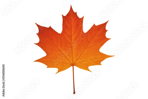 Wallpaper Mural Vibrant orange maple leaf suspended against transparent backdrop, highlighting seasonal hues and delicate natural texture Torontodigital.ca