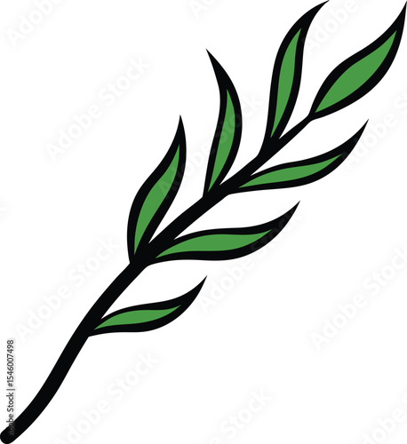wavy willow leaf branch in bold on white background