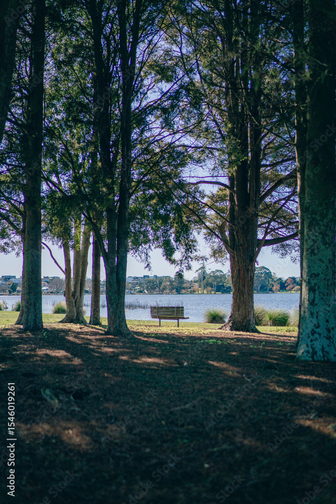 Fototapeta premium morning in the park