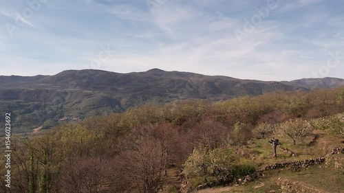 Aerial drone footage of spring cherry blossom valley and river landscape in Spain.