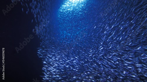 The camera glides forward through a shimmering cloud of fish swirling in hypnotic spirals inside a blue-lit underwater cave, revealing the glowing exit ahead.