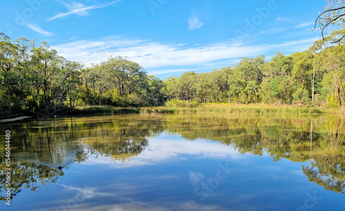 A lake surrounded by trees on the Edward Hunter Bush Reserve Moe Victoria. Reflections of the trees can be seen on the water.