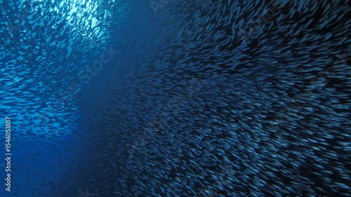 The camera glides forward through a shimmering cloud of fish swirling in hypnotic spirals inside a blue-lit underwater cave, revealing the glowing exit ahead.