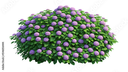 Wallpaper Mural Lush purple hydrangea bush isolated on transparent background Torontodigital.ca