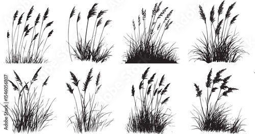 Hand Drawn Beach Grass Vector Set – Coastal Plant Illustration