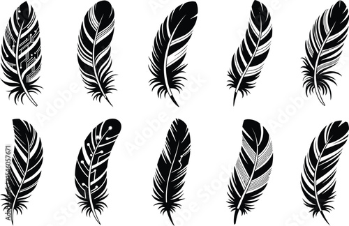 Elegant black and white feather illustrations with technology inspired circuitry and abstract designs