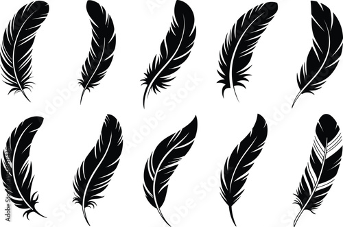 Elegant black feather silhouettes arranged on a white background for artistic design elements