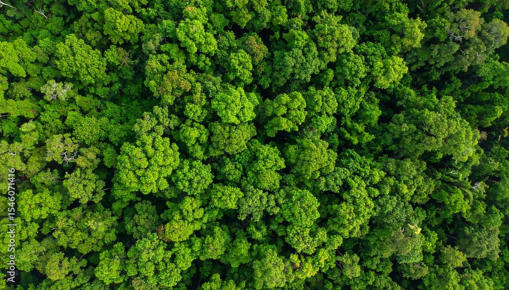 Breathtaking Nature Landscape Featuring Mountains, Forests, Oceans, and Sky in All Seasons Breathtaking Nature Landscape Featuring Mountains, Forests, Oceans, and Sky in All Seasons