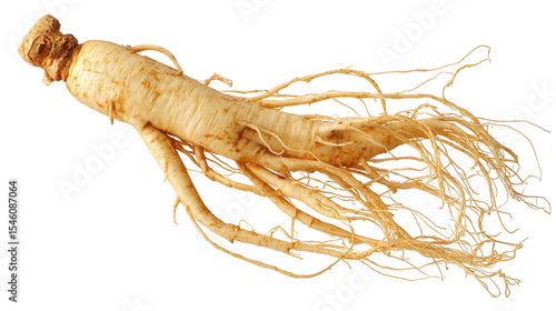 A ginseng root isolated on transparent background