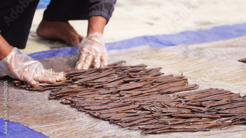 фотографія vanilla farmer curing gourmet beans or pods or sticks, drying harvest