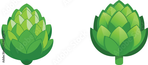 Fresh green artichoke with detailed textured leaves vector art design set