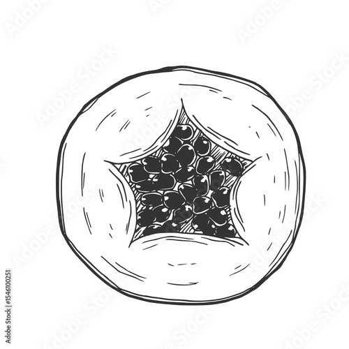 Papaya slices. Ink sketch isolated on white background. Hand drawn vector illustration. Retro style.