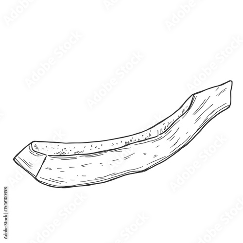 Papaya slices. Ink sketch isolated on white background. Hand drawn vector illustration. Retro style.