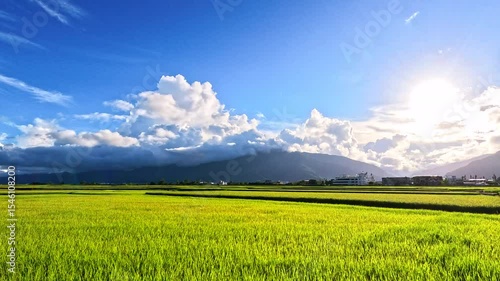Car side window view of rice fields terrace farming plantation at sunrise in East Longitudinal Valley,Taiwan
