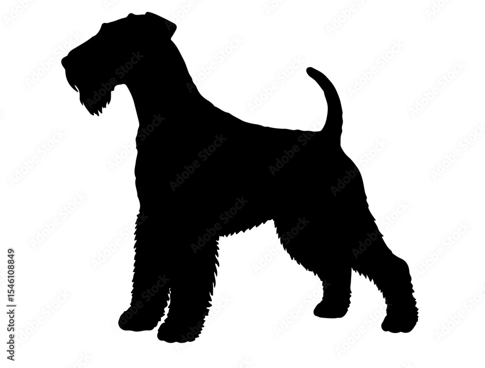 Airedale terrier in silhollouette vector image. Airedale terrier in silhollouette vector image.