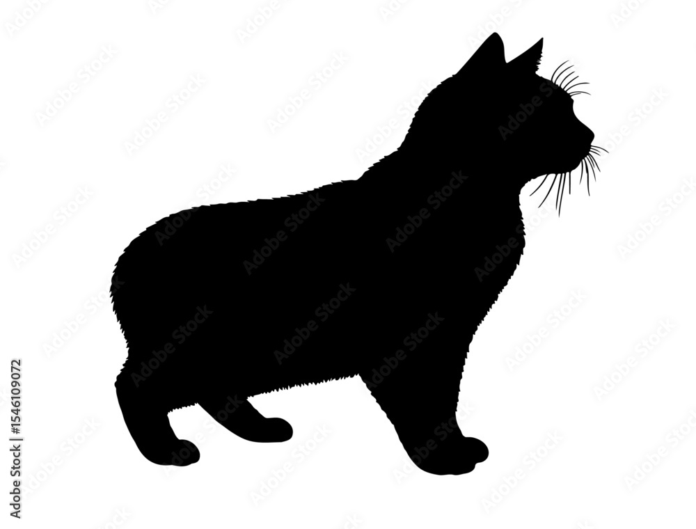 Obraz premium Bengal Cat in silhollouette vector image.