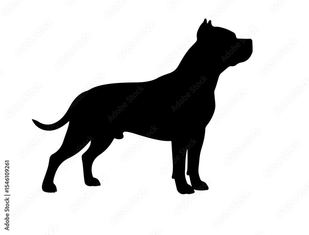 Fototapeta premium Full black vector image of Akita in silhollouette.