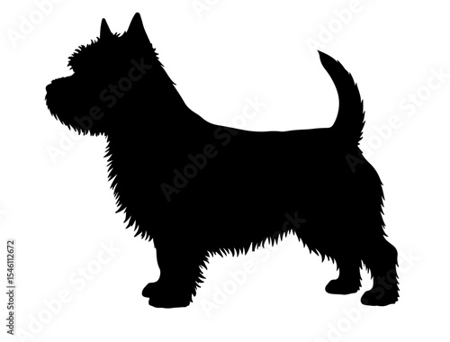 Cairn terrier  in silhollouette vector image.