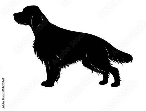 English setter in silhollouette vector image white baclground.