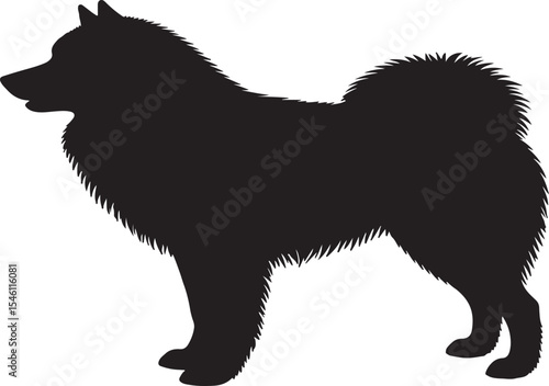 Eskimo dog in silhollouette vector image.