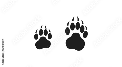 Animal Footprint Identification Guide Learn How to Identify the Prints of Various Animals