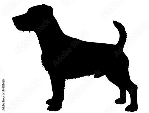 Jack Russell terrier  in silhollouette vector image.
