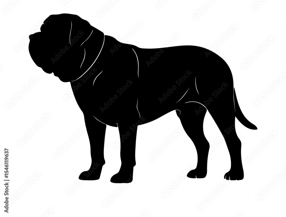 Fototapeta premium Lhasa apso in silhollouette vector image white baclground.