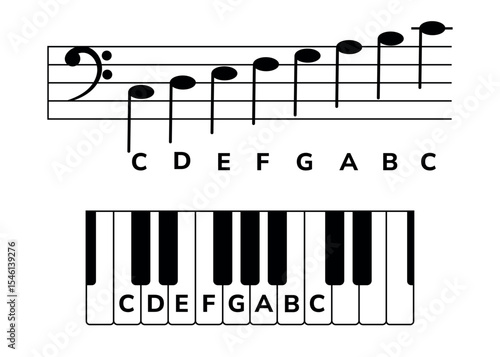 Musical staff and a piano keyboard with notes. Musical infographic with C major in bass clef for music piano lessons, educational apps. Correlation between the staff and piano keys