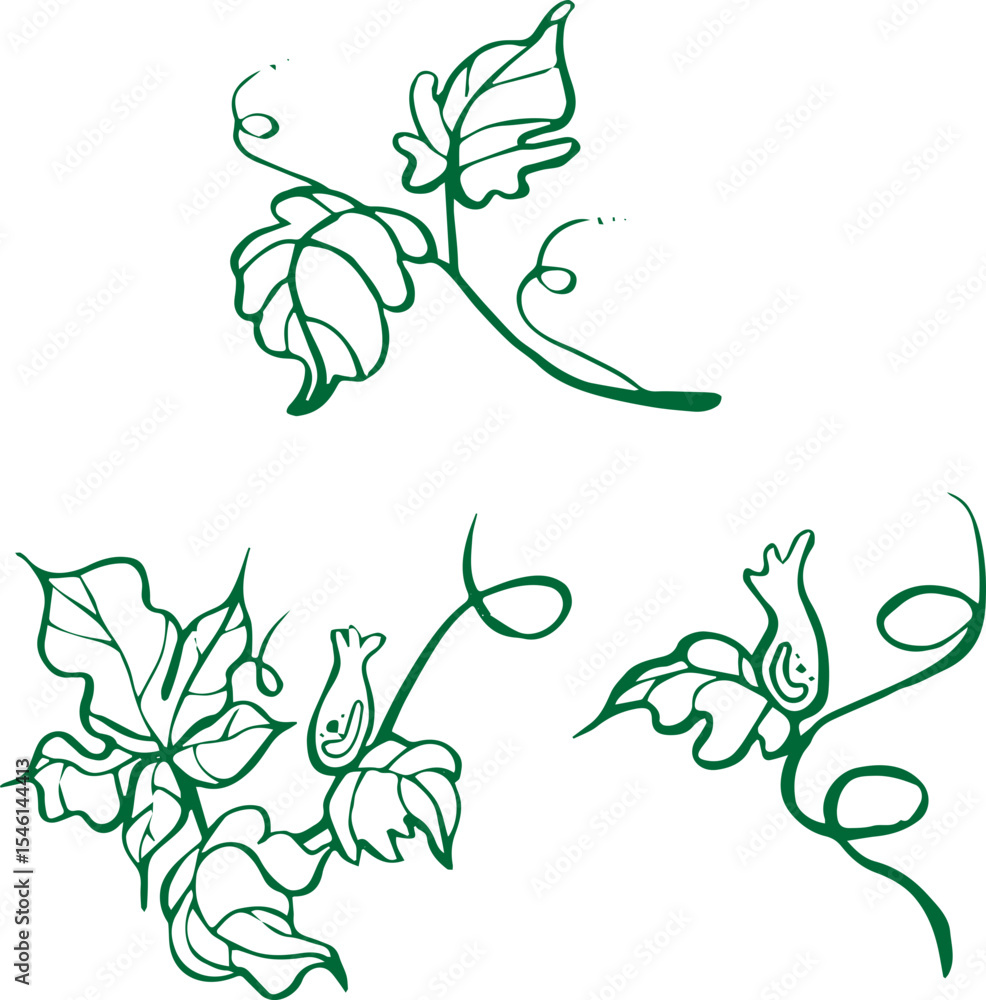 Fototapeta premium Set of elements of lush vegetation